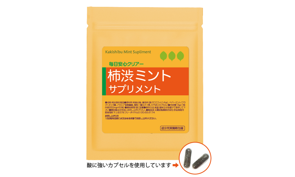 kakishibu01 kakishibu01