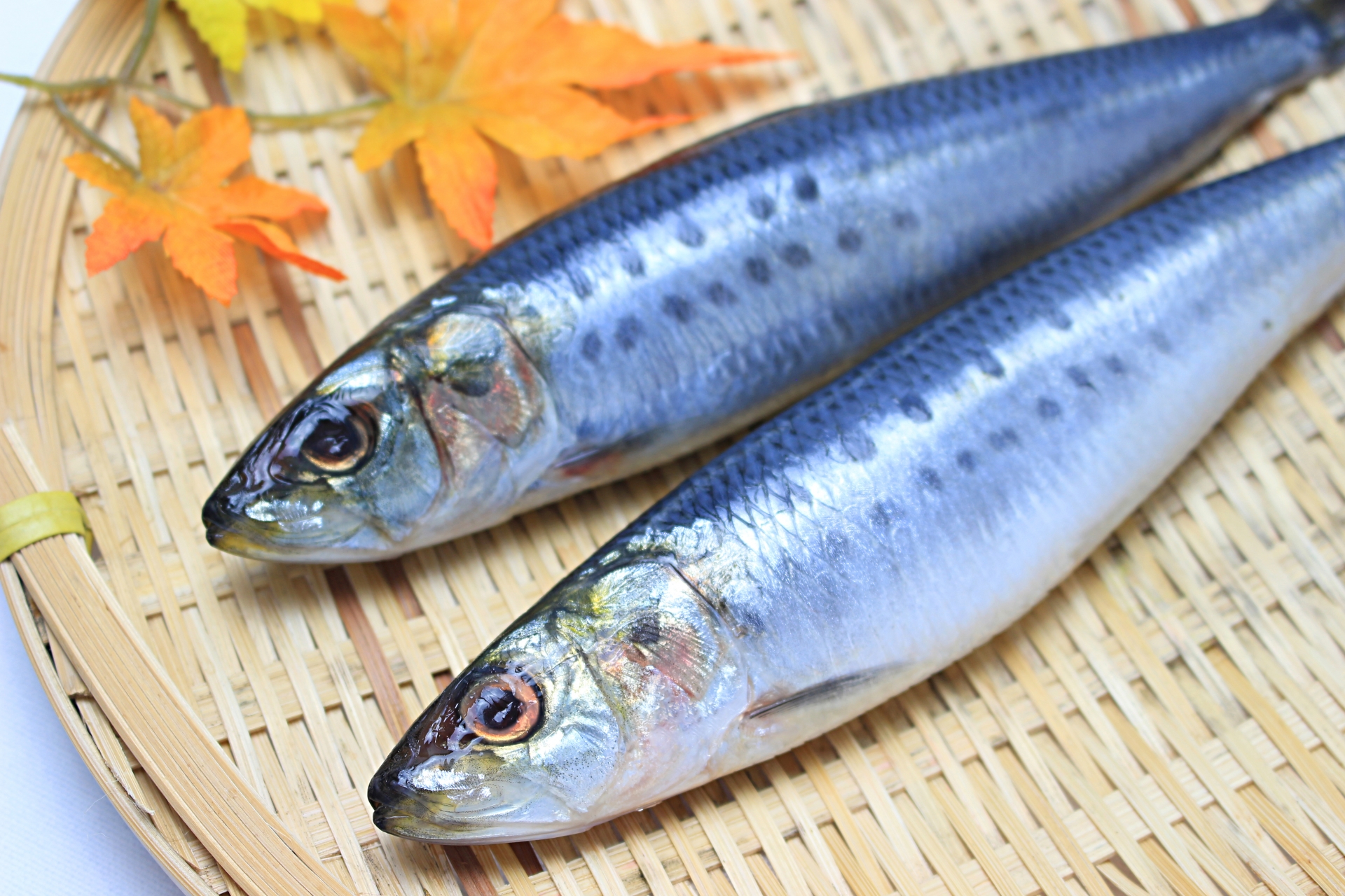 青魚のＤＨＡを余すことなく食べられる昔ながらの知恵