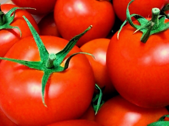 トマトのリコピンを６０％増やす昔ながらの知恵