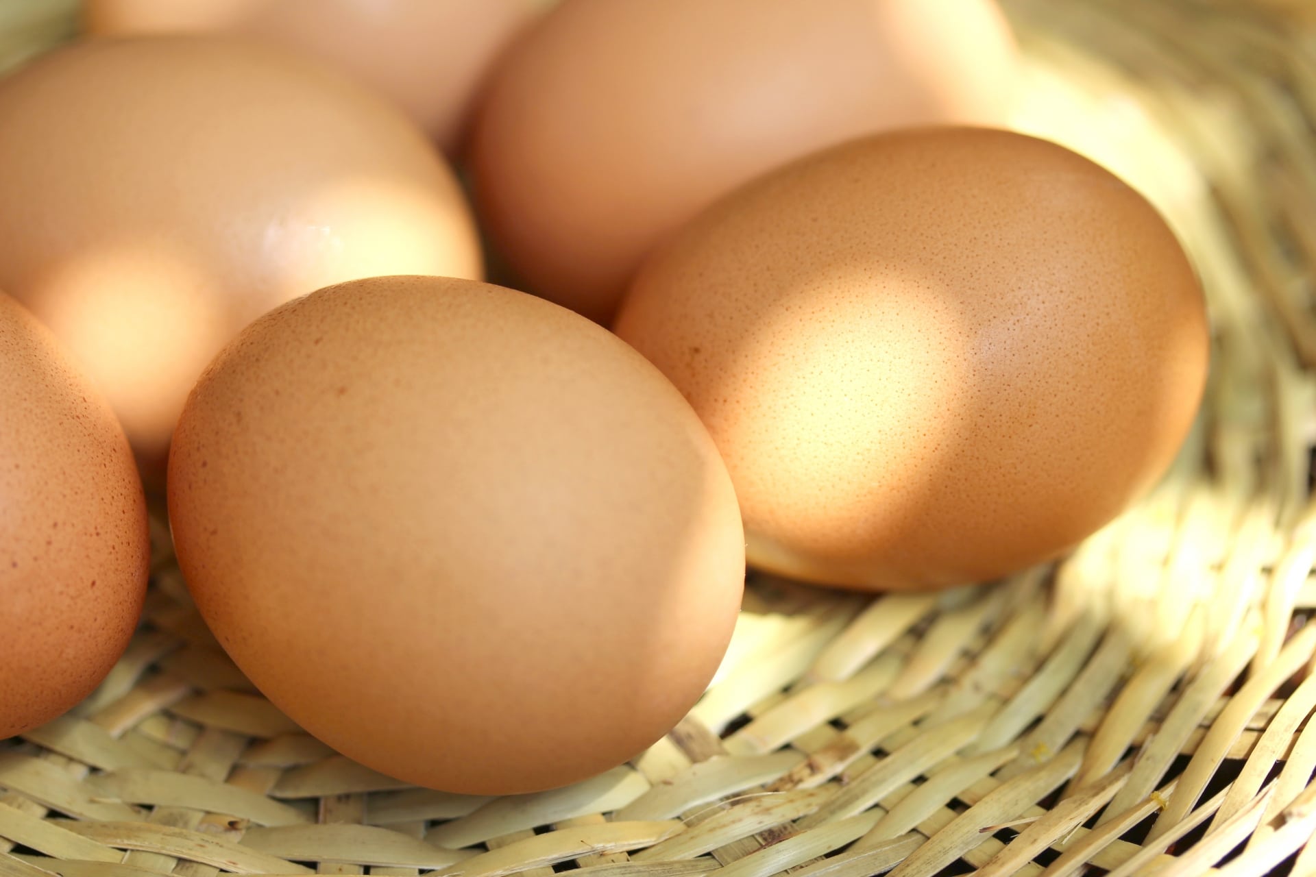 昔ながらの知恵で卵を100％有効活用しよう！