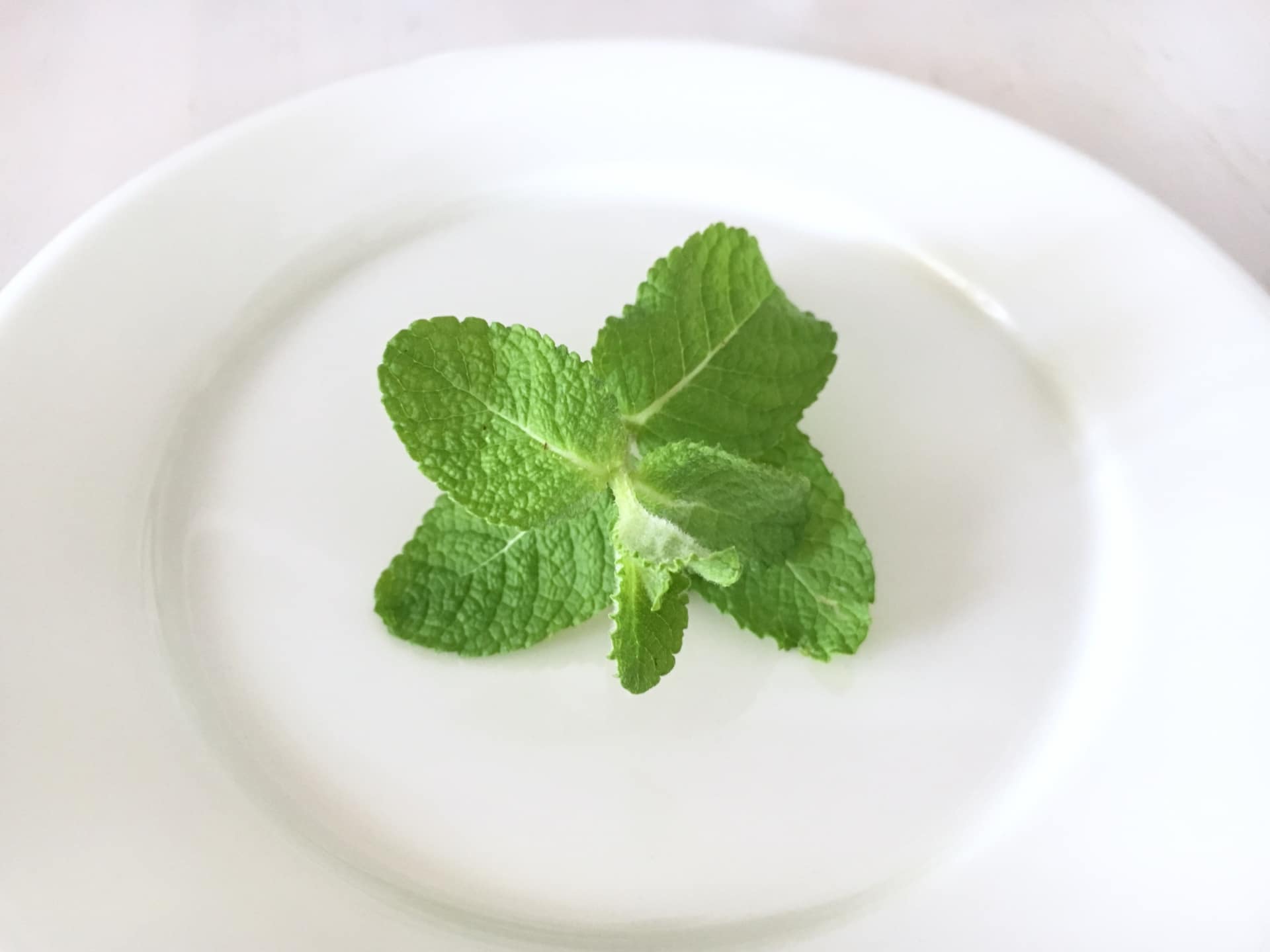 ミント