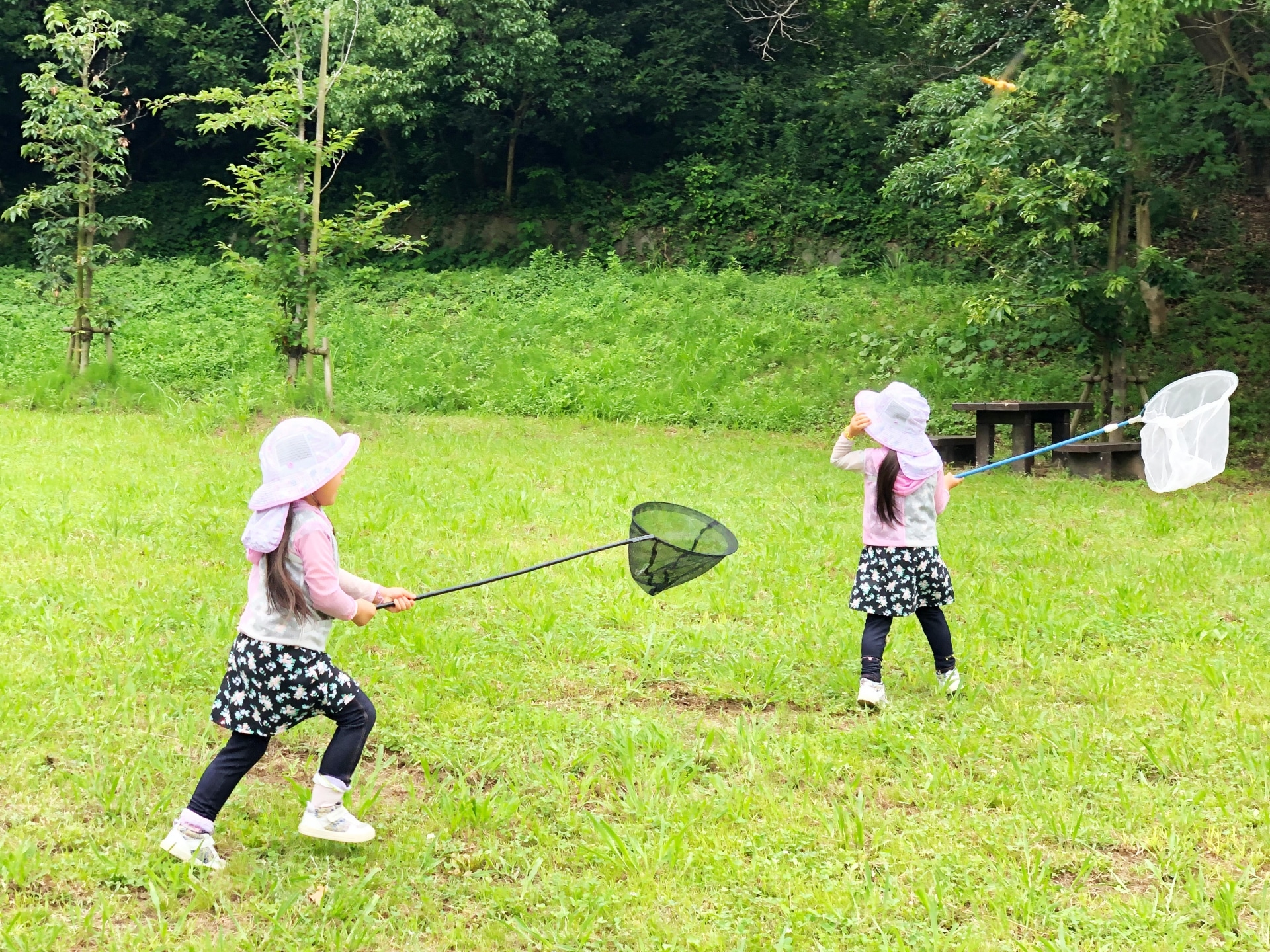 これからの時期に昔の知恵で虫対策